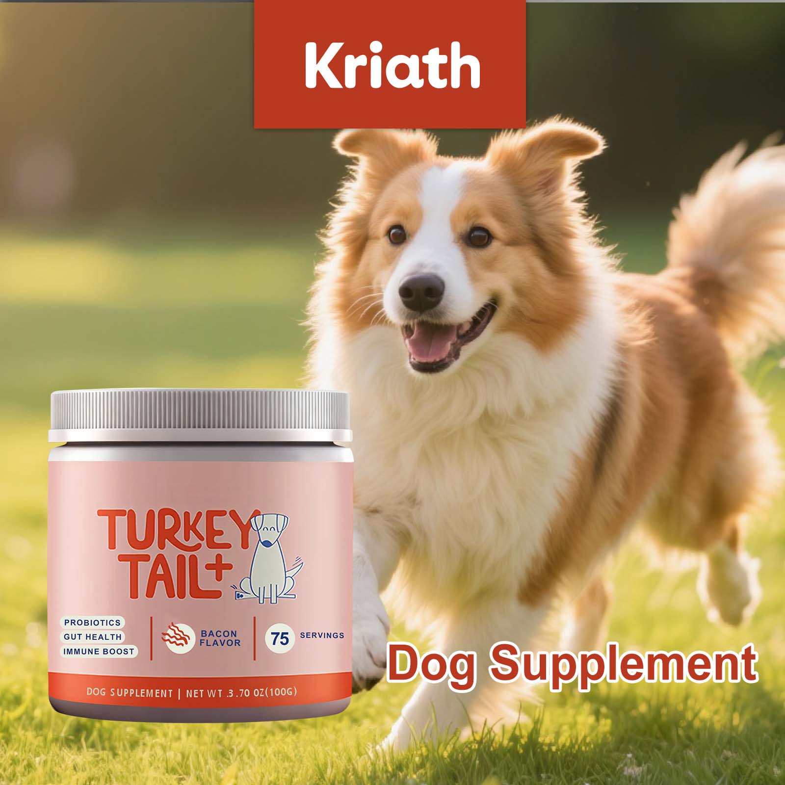 Health Wellness Vitality - Canine Probiotic Powder Intestinal Health Support