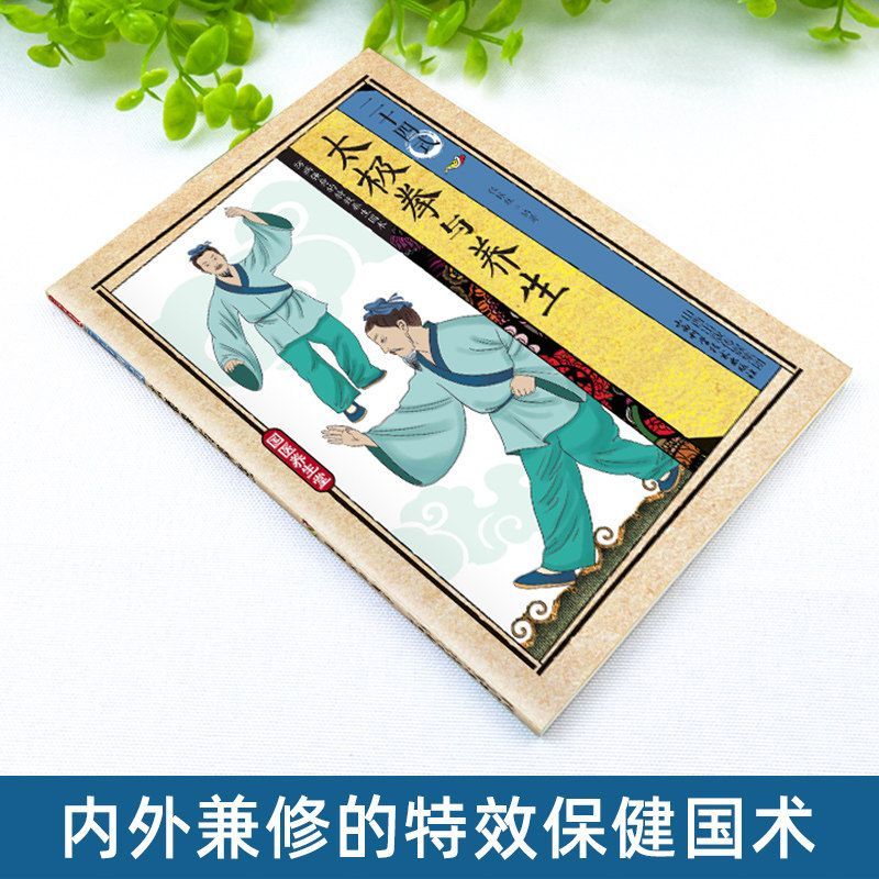 24 Style Tai Chi and Health Ex - Health & Wellness Tablet Cutter 评论和价格