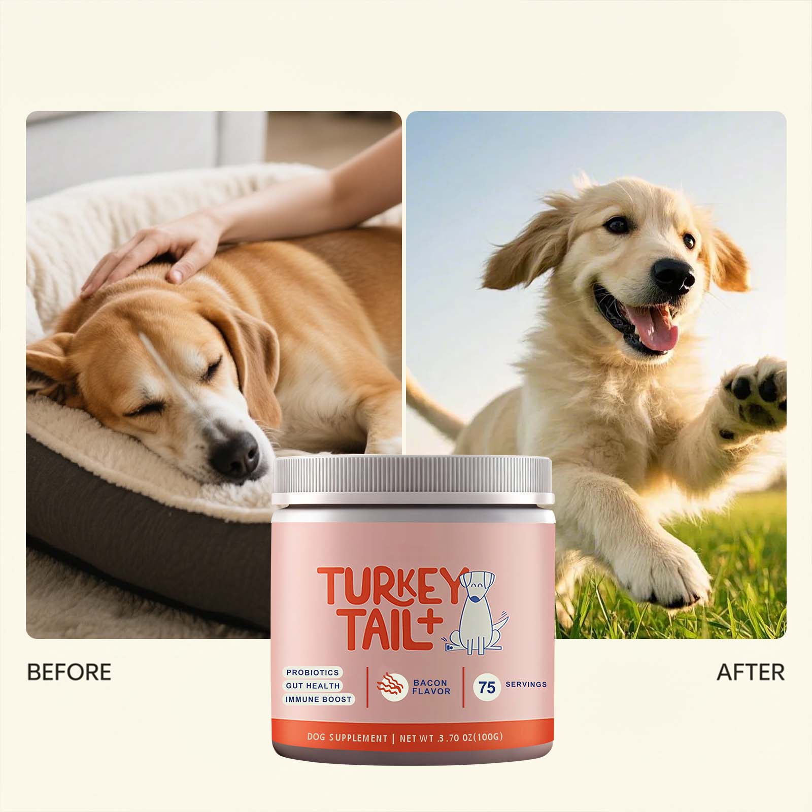 Canine Probiotic Powder Intest - Health Wellness Vitality 评论和价格