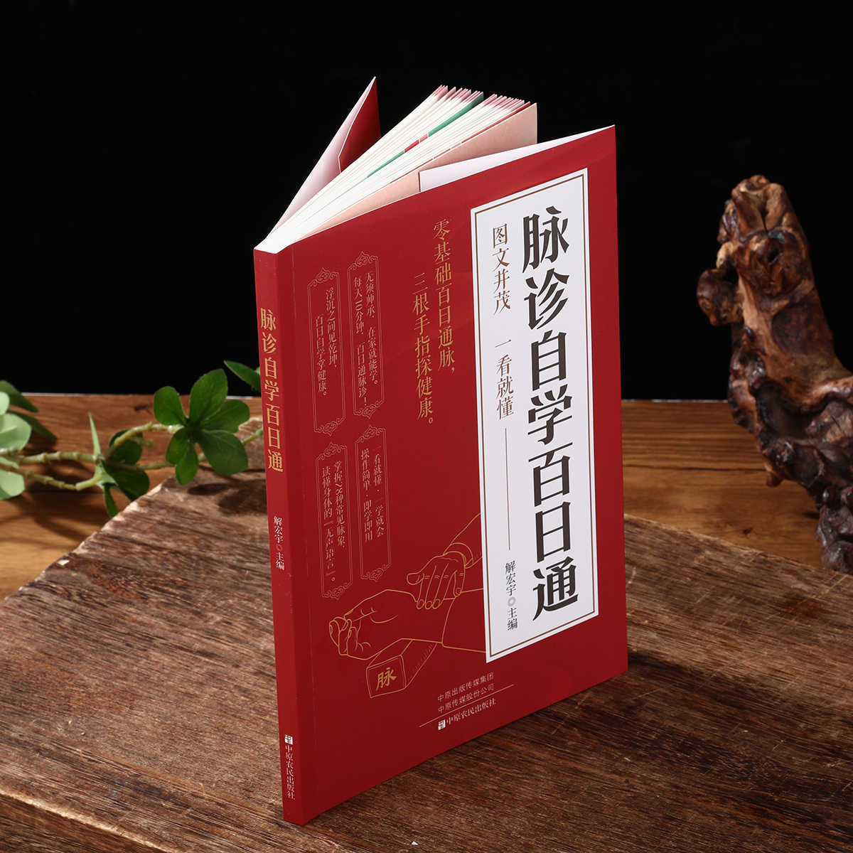Pulse Diagnosis Self Study Hun - Health & Wellness Tablet Cutter 评论和价格